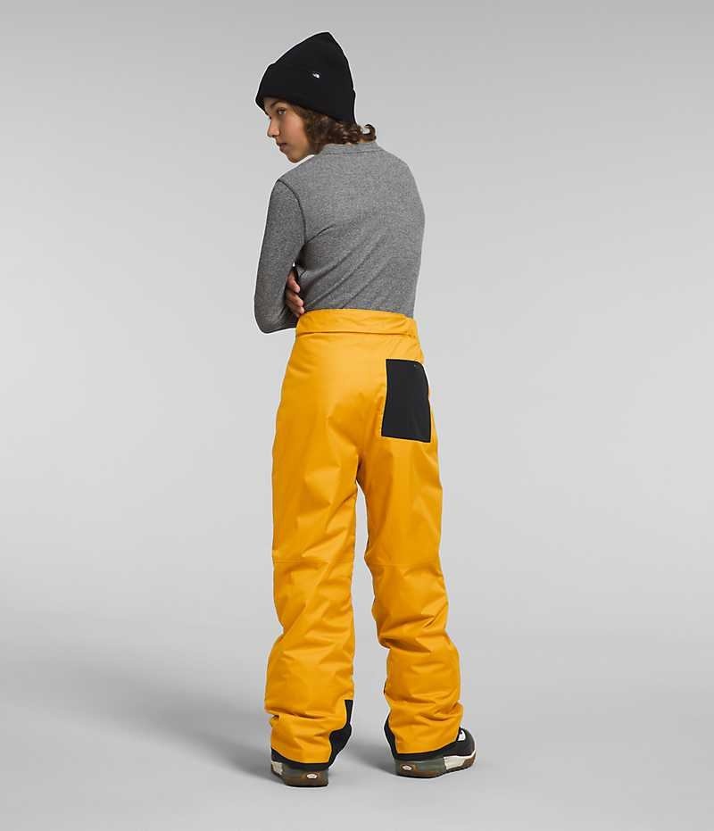 Pantalon Isolé The North Face Freedom Garcon Doré | FRANCE AVBWF