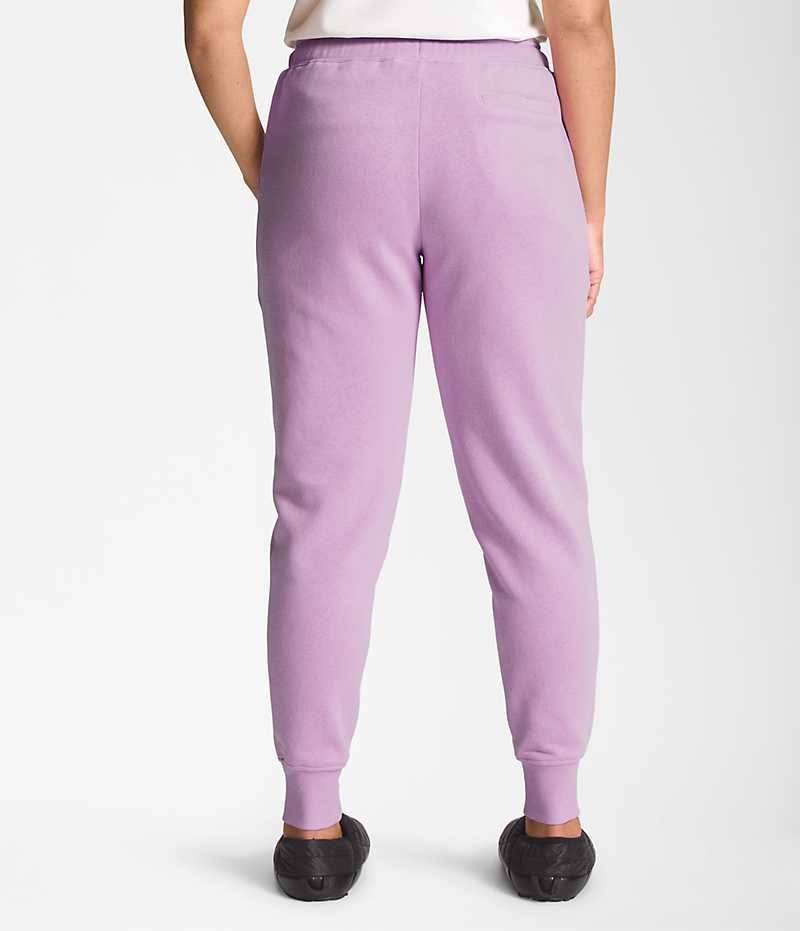 Pantalon Jogging The North Face Box NSE Femme Lavande | PARIS JHSXZ