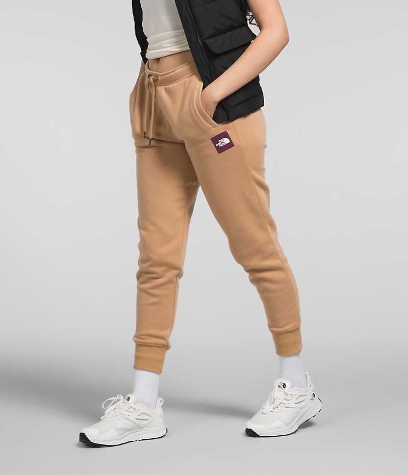 Pantalon Jogging The North Face Box NSE Femme Kaki | PARIS GMFHJ