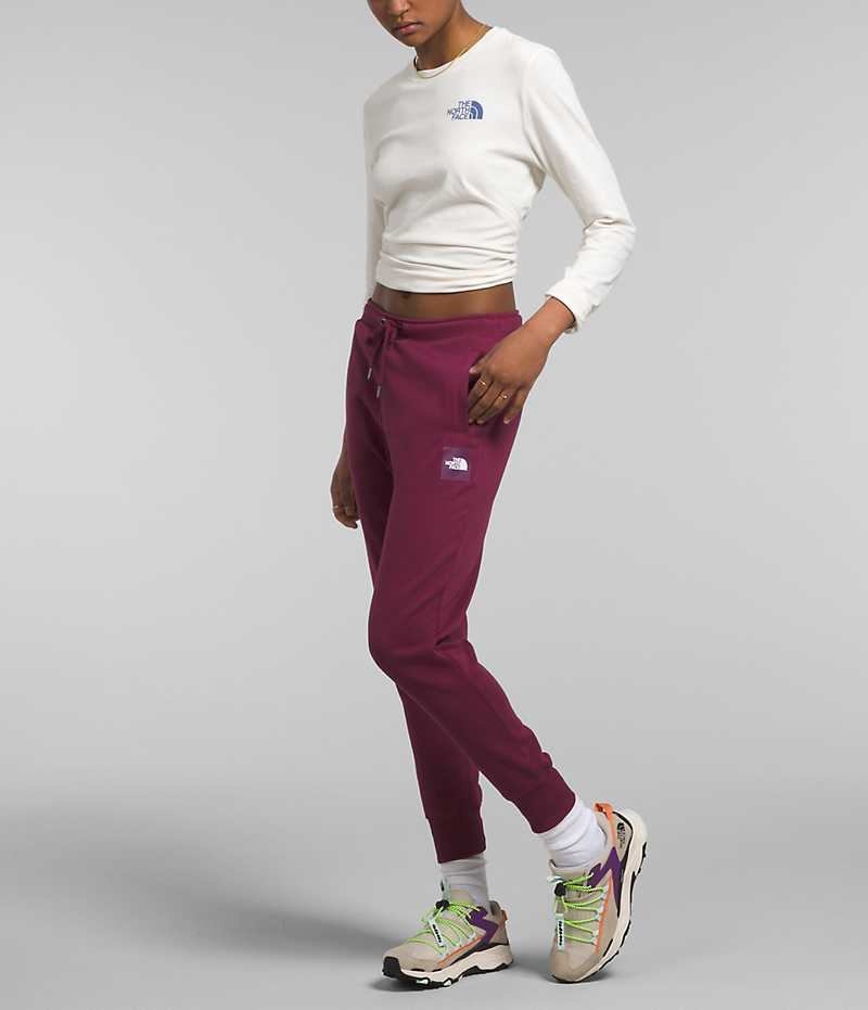 Pantalon Jogging The North Face Box NSE Femme Bordeaux | FR MVWLY