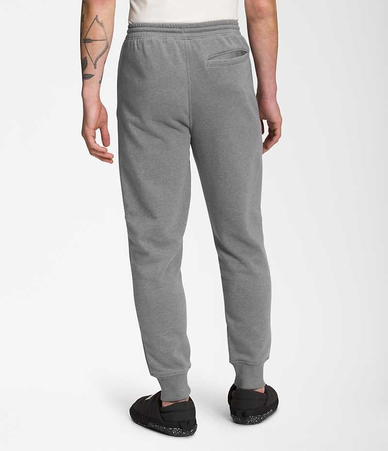 Pantalon Jogging The North Face Box NSE Homme Grise | FR UDZWJ
