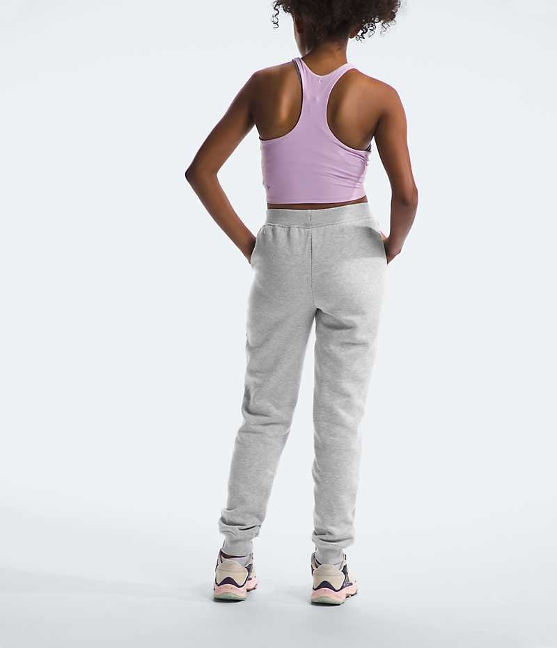 Pantalon Jogging The North Face Camp Fleece Fille Grise Clair | FRANCE TBFKH