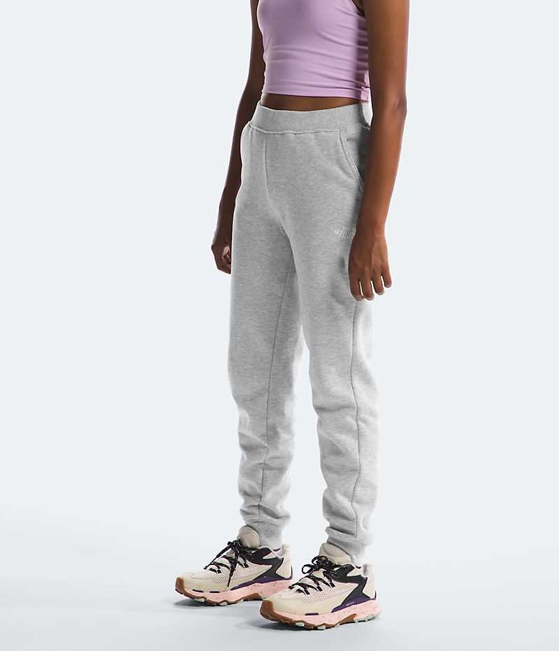 Pantalon Jogging The North Face Camp Fleece Fille Grise Clair | FRANCE TBFKH