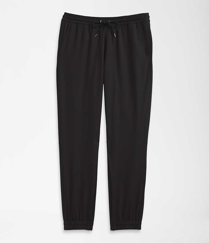 Pantalon Jogging The North Face Standard Homme Noir | PARIS NDBMQ