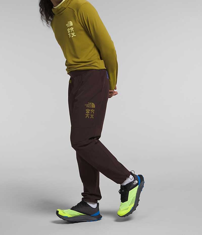 Pantalon Jogging The North Face Trailwear OKT Homme Marron | FR NUIJT