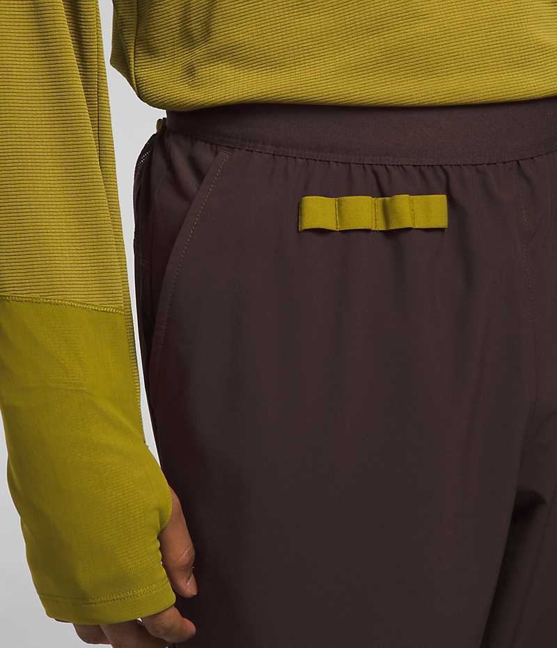 Pantalon Jogging The North Face Trailwear OKT Homme Marron | FR NUIJT