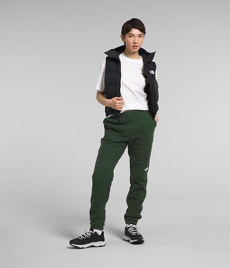 Pantalon The North Face Denali Femme Vert | FR SKGEF