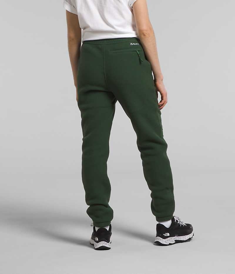 Pantalon The North Face Denali Femme Vert | FR SKGEF