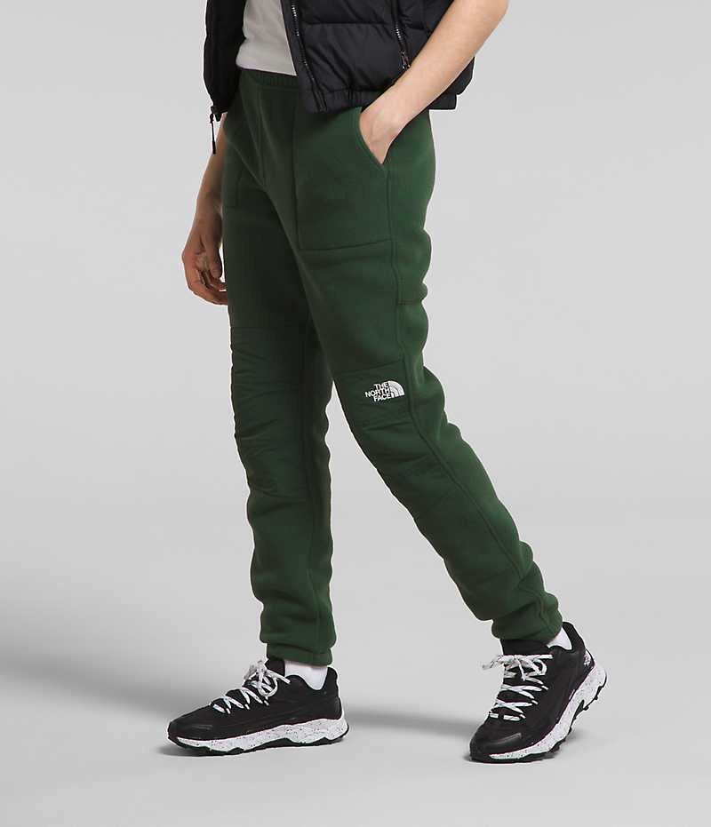 Pantalon The North Face Denali Femme Vert | FR SKGEF