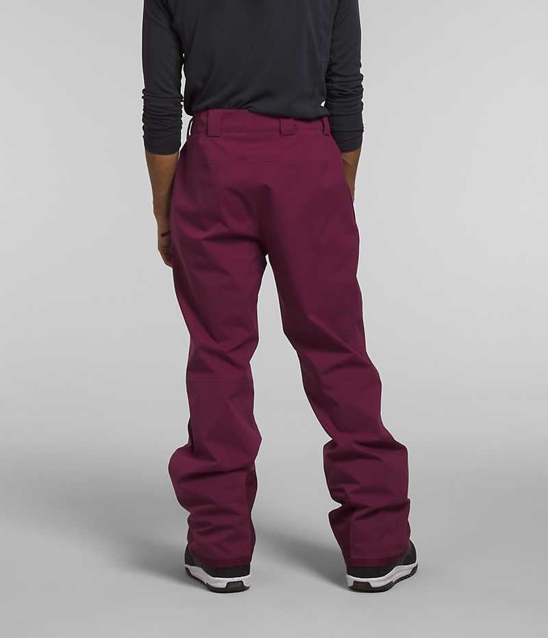 Pantalon The North Face Freedom Stretch Homme Fushia | FRANCE MVKRI
