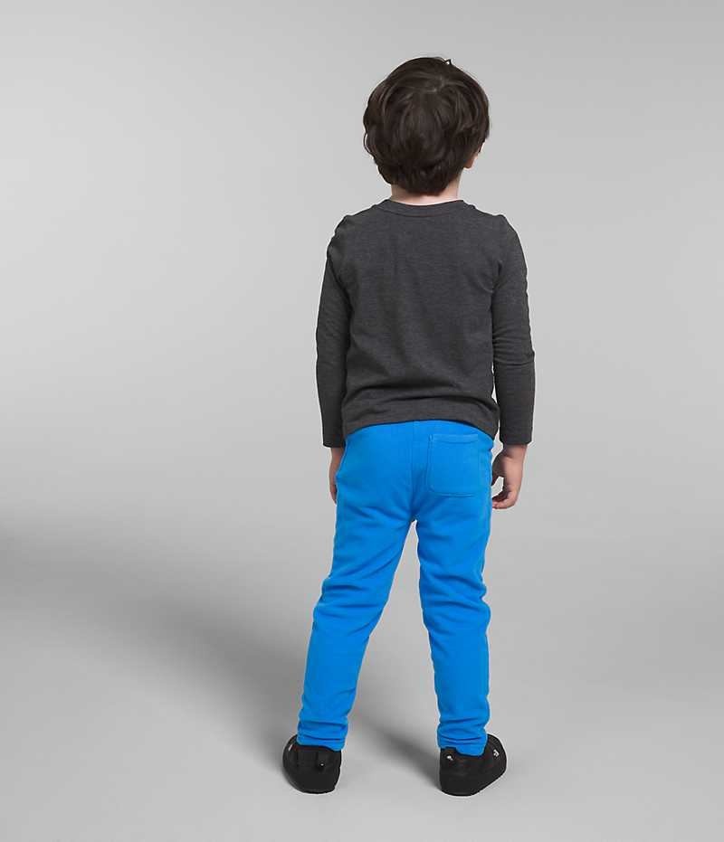 Pantalon The North Face Glacier Garcon Bleu | FR RQFXT