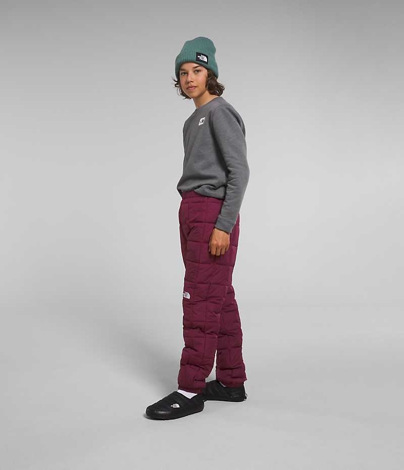 Pantalon The North Face Lhotse Garcon Bordeaux | FR SNZWV