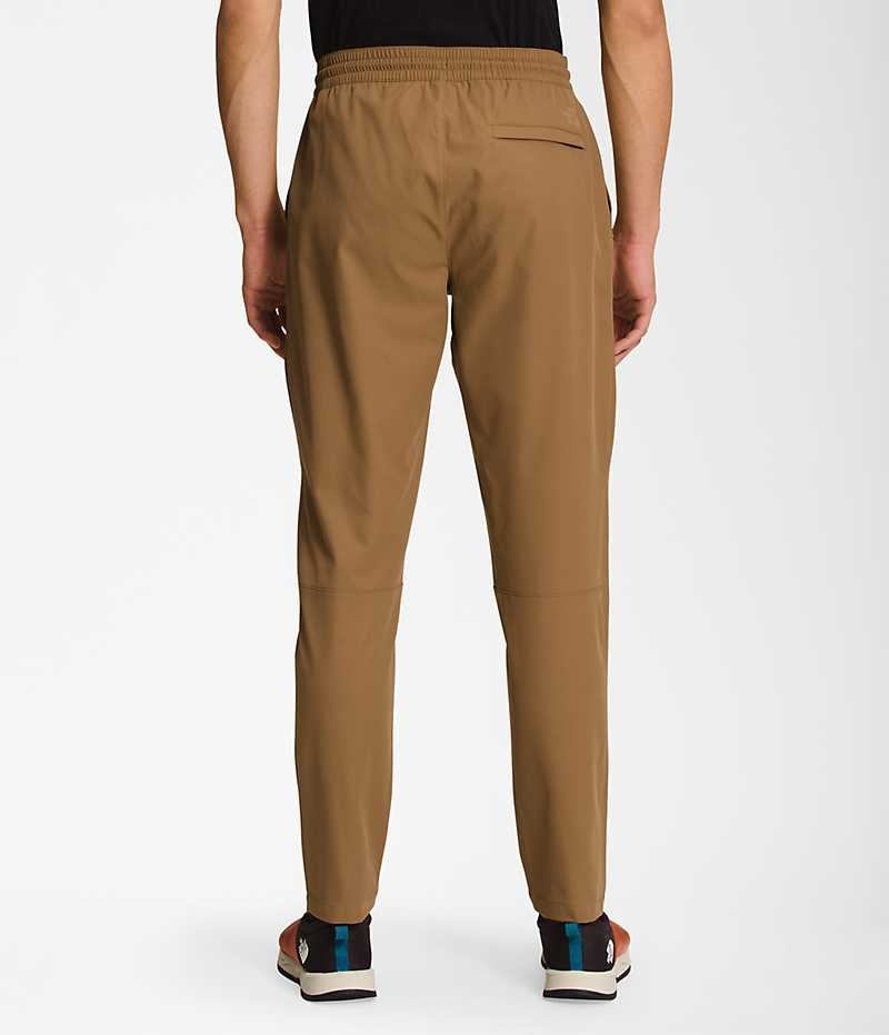 Pantalon The North Face Standard Tapered Homme Marron | PARIS BJTSF