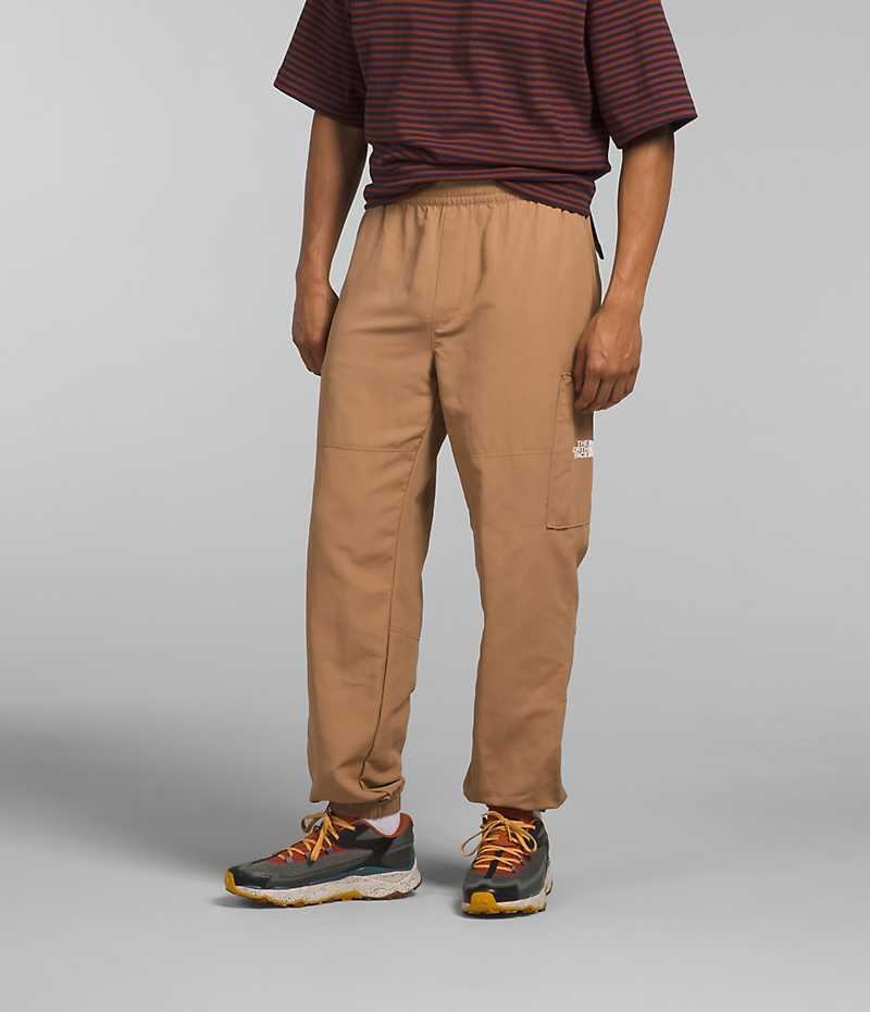 Pantalon The North Face TNF™ Nylon Easy Homme Marron | FR UCEKA
