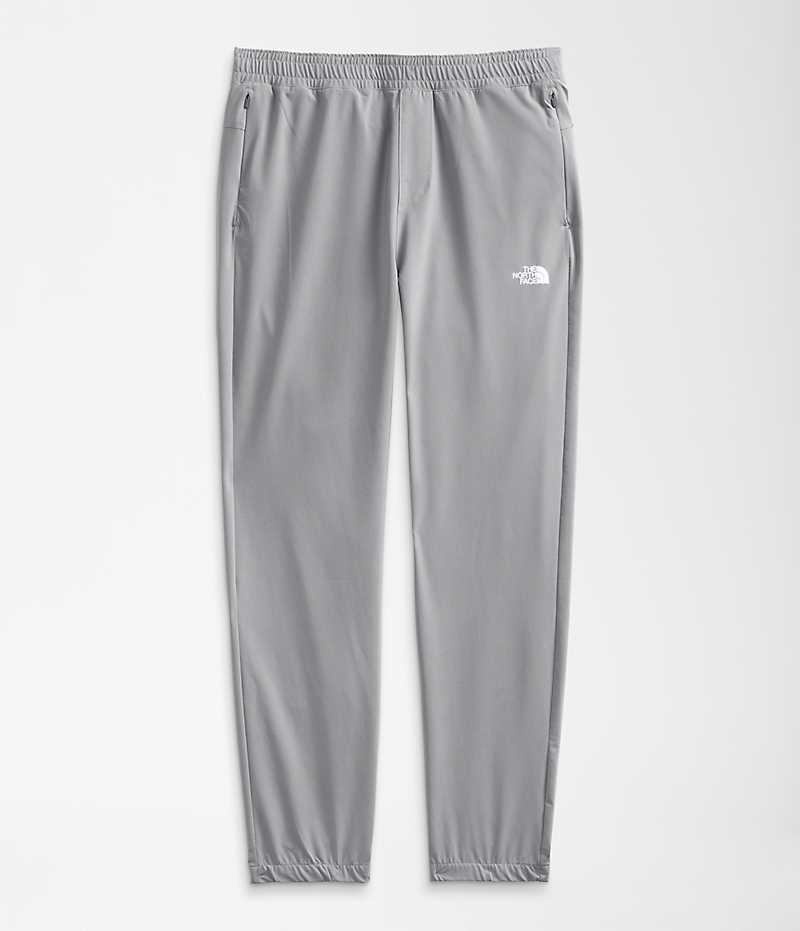 Pantalon The North Face Wander Homme Grise | FRANCE GOEQR