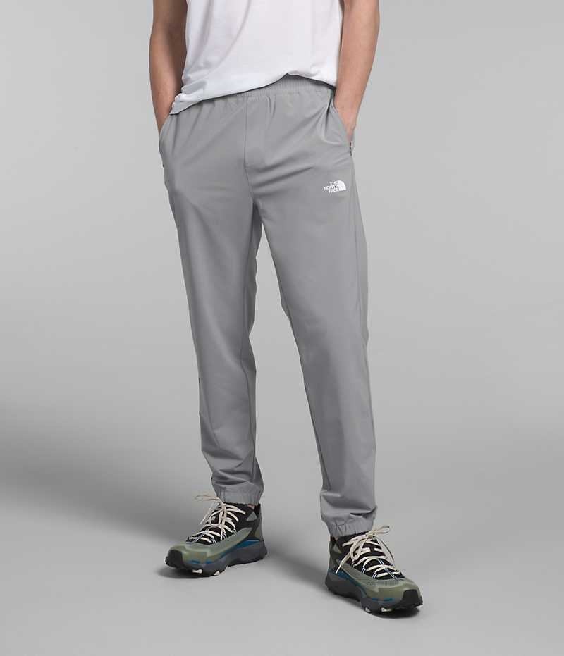 Pantalon The North Face Wander Homme Grise | FRANCE GOEQR