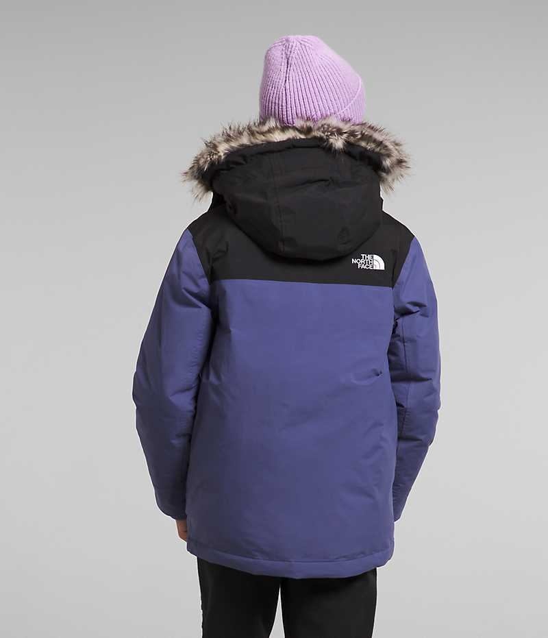 Parka The North Face McMurdo Garcon Bleu | FRANCE UNZES