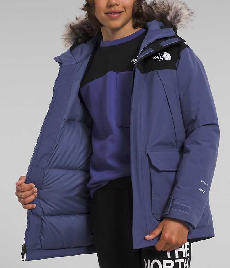 Parka The North Face McMurdo Garcon Bleu | FRANCE UNZES