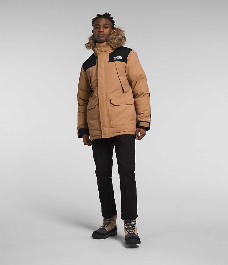 Parka The North Face McMurdo Homme Beige | FR WPGKH
