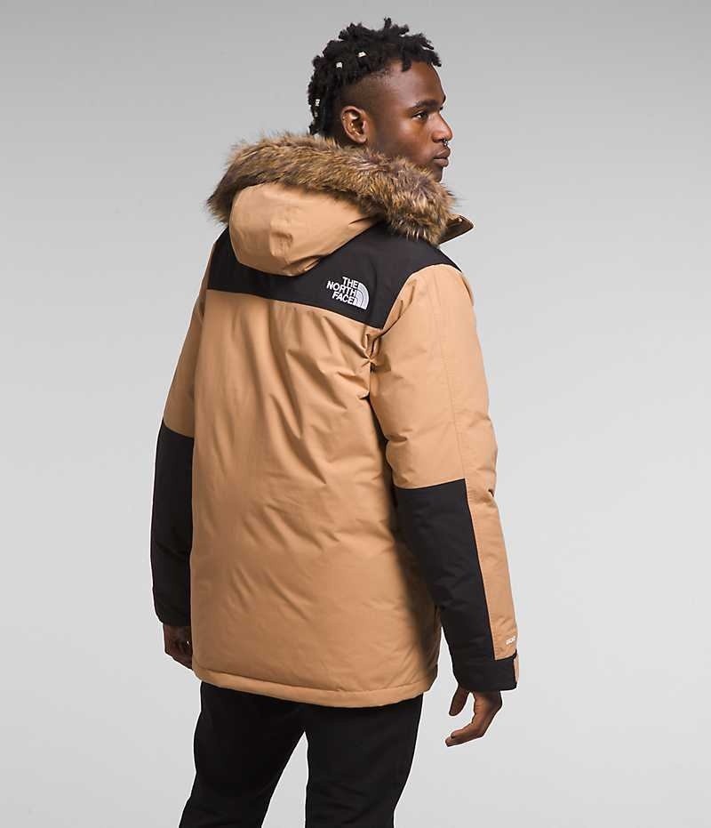 Parka The North Face McMurdo Homme Beige | FR WPGKH