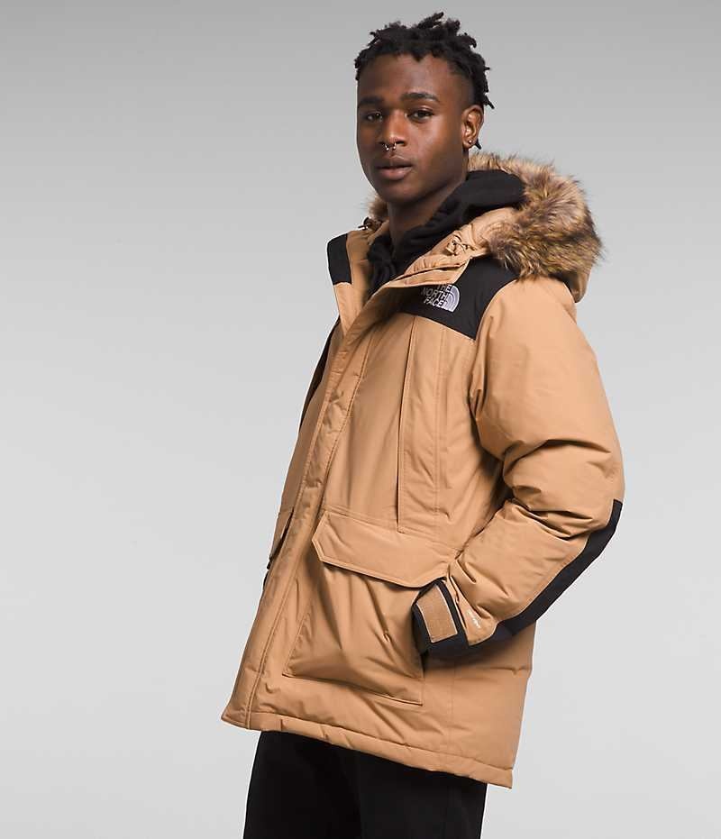 Parka The North Face McMurdo Homme Beige | FR WPGKH