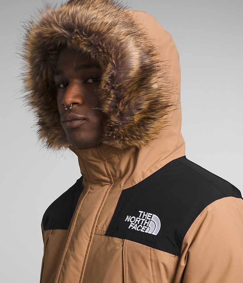 Parka The North Face McMurdo Homme Beige | FR WPGKH