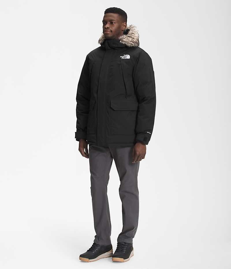 Parka The North Face McMurdo Homme Noir | FR IATQO