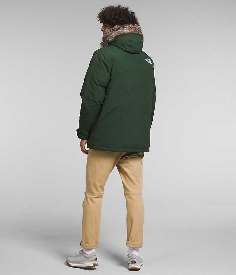 Parka The North Face McMurdo Homme Vert | PARIS FYZLV