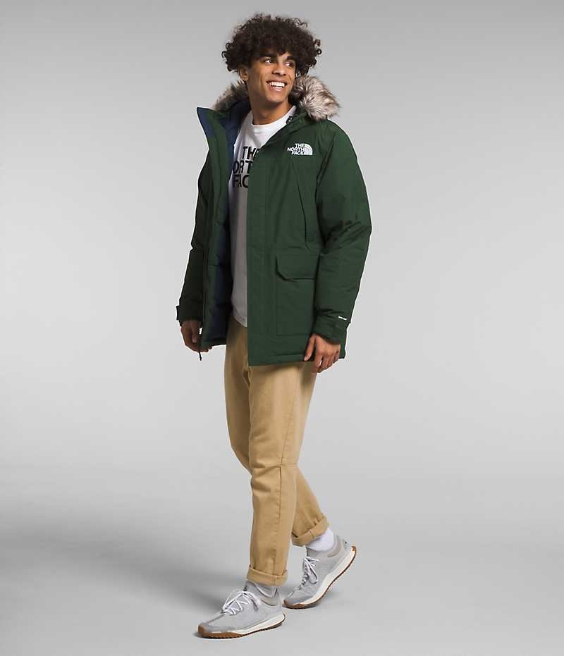 Parka The North Face McMurdo Homme Vert | PARIS FYZLV
