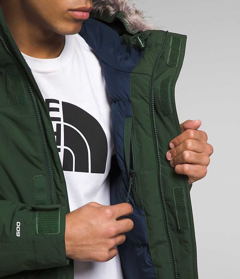 Parka The North Face McMurdo Homme Vert | PARIS FYZLV