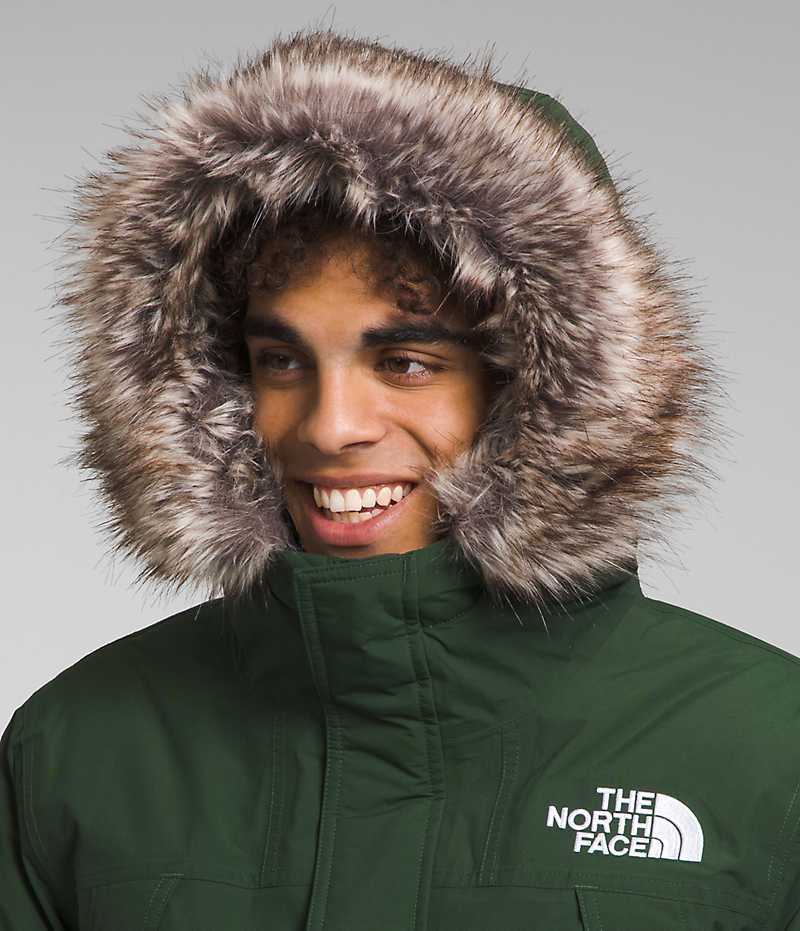 Parka The North Face McMurdo Homme Vert | PARIS FYZLV