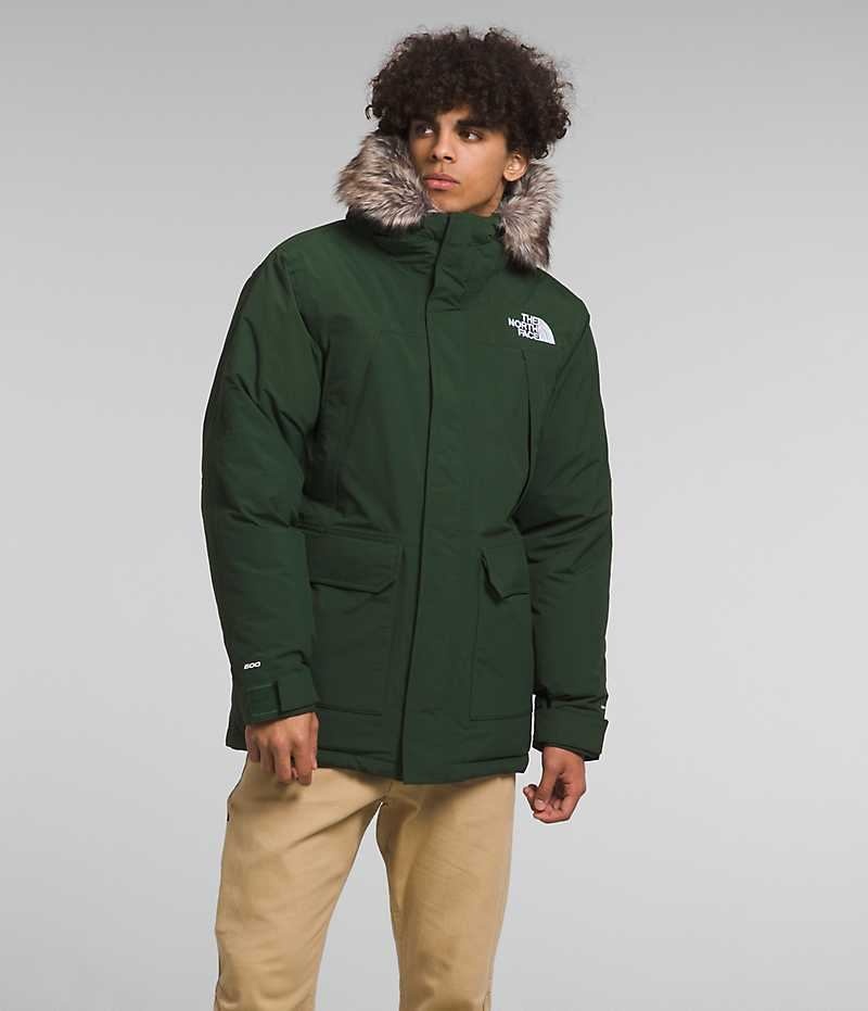 Parka The North Face McMurdo Homme Vert | PARIS FYZLV
