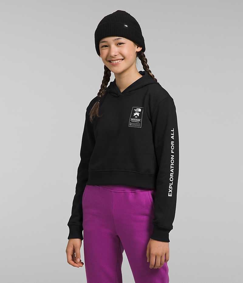 Sweat a Capuche The North Face Camp Fleece Pullover Fille Noir | FRANCE VLPWX