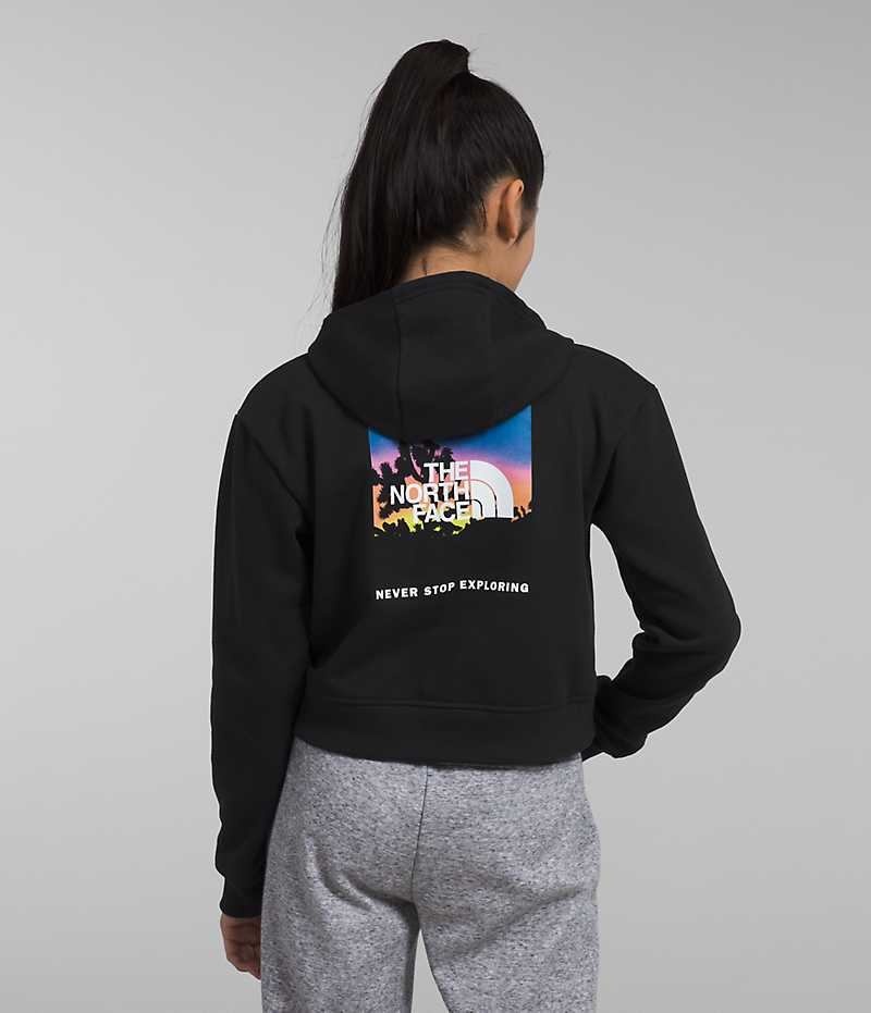 Sweat a Capuche The North Face Camp Fleece Pullover Fille Noir | PARIS MSEYW