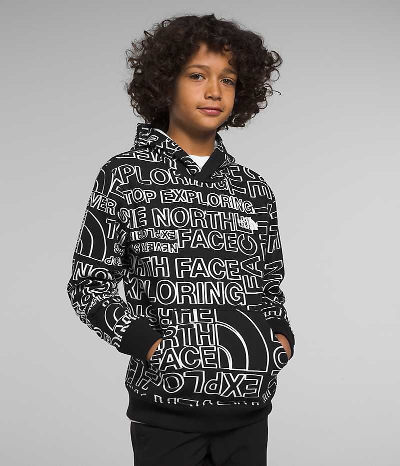 Sweat a Capuche The North Face Camp Fleece Pullover Garcon Noir | PARIS JTCQB