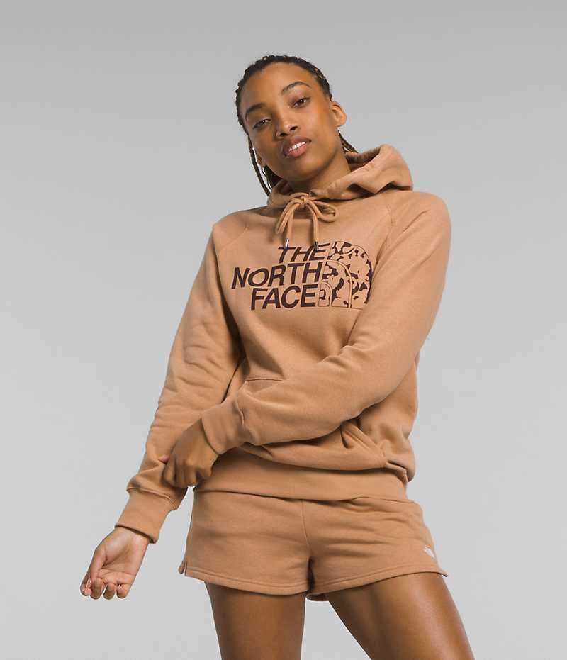 Sweat a Capuche The North Face Half Dome Pullover Femme Marron | FR IACDS