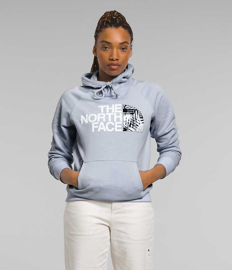 Sweat a Capuche The North Face Half Dome Pullover Femme Bleu | FRANCE ZXBTN