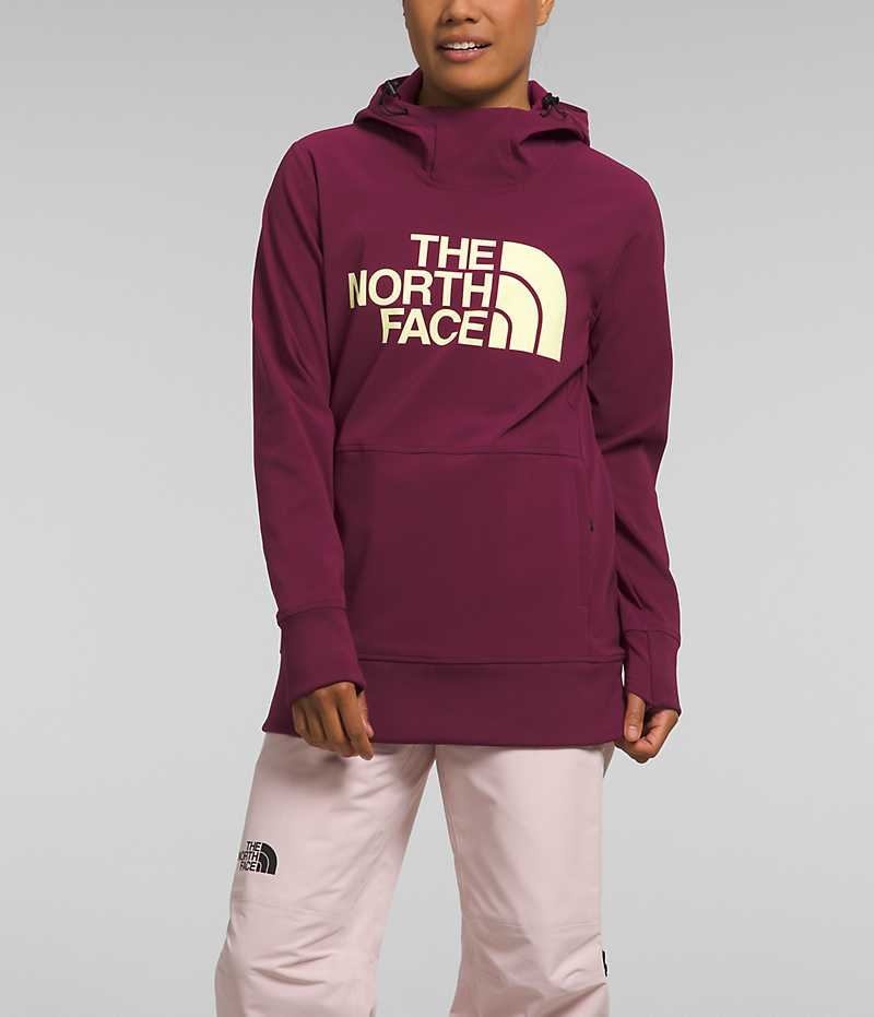 Sweat a Capuche The North Face Tekno Pullover Femme Fushia | PARIS MWHUO