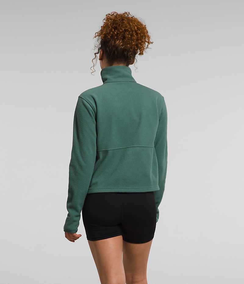Sweatshirt The North Face Alpine Polartec® 100 ¼-Zip Cowl Femme Vert | FRANCE DTBLW