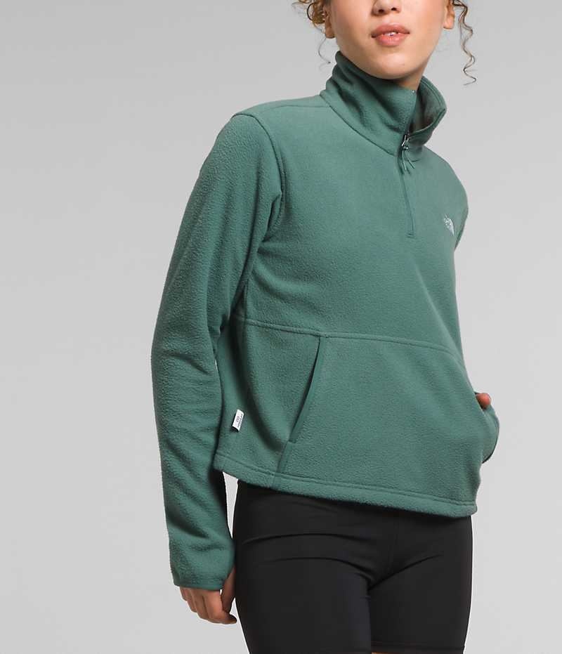 Sweatshirt The North Face Alpine Polartec® 100 ¼-Zip Cowl Femme Vert | FRANCE DTBLW