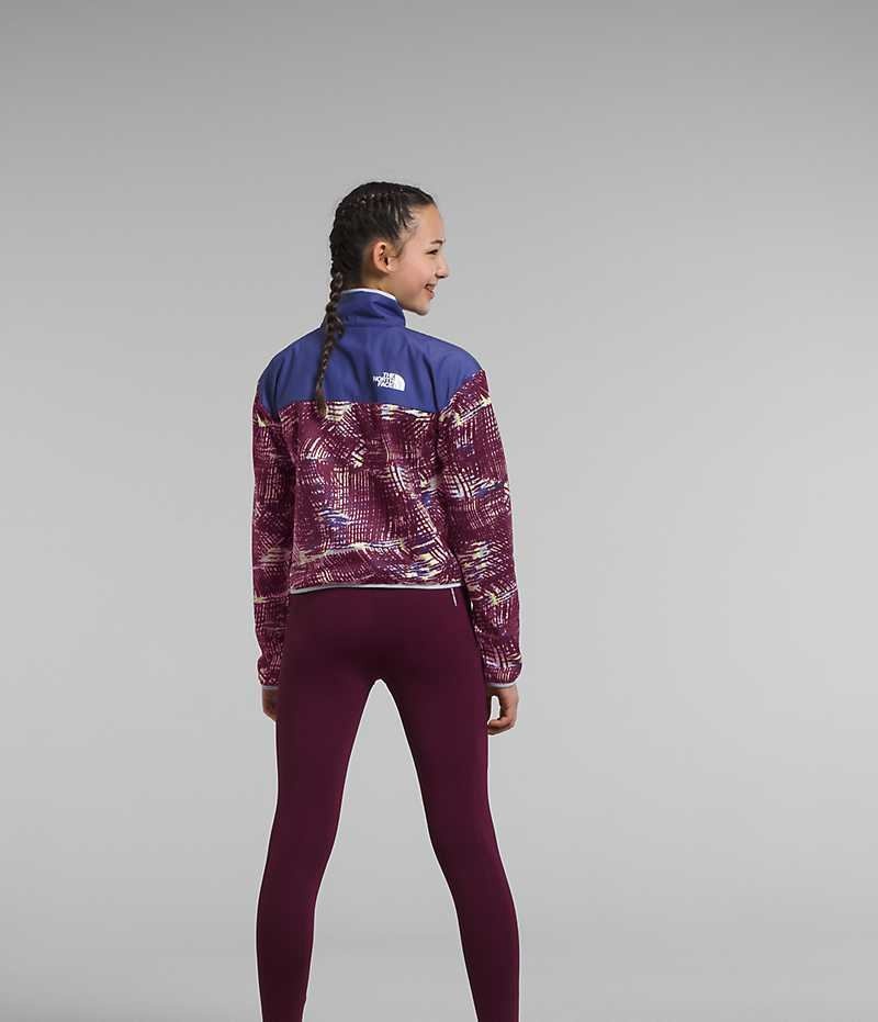 Sweatshirt The North Face D'hiver Warm ½-Zip Fille Multicolore | FR HCWGN