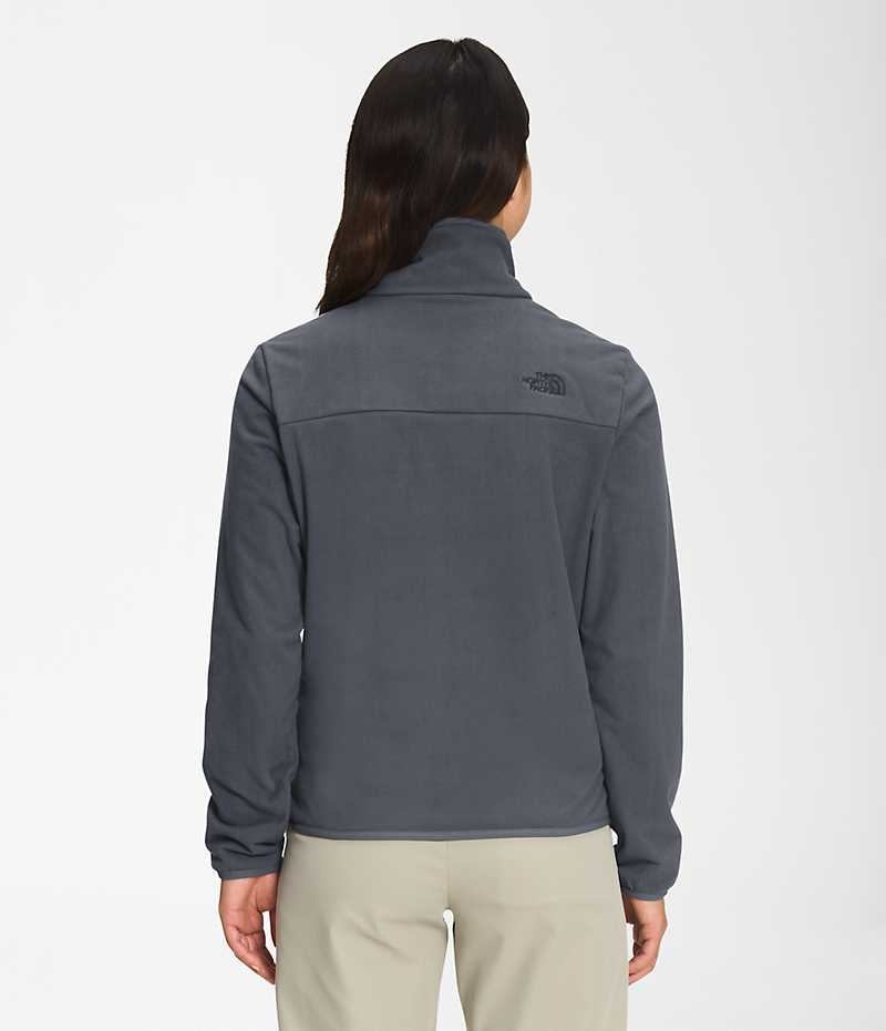 Sweatshirt The North Face Polar Osito ¼-Zip Femme Grise | FR DXFKW