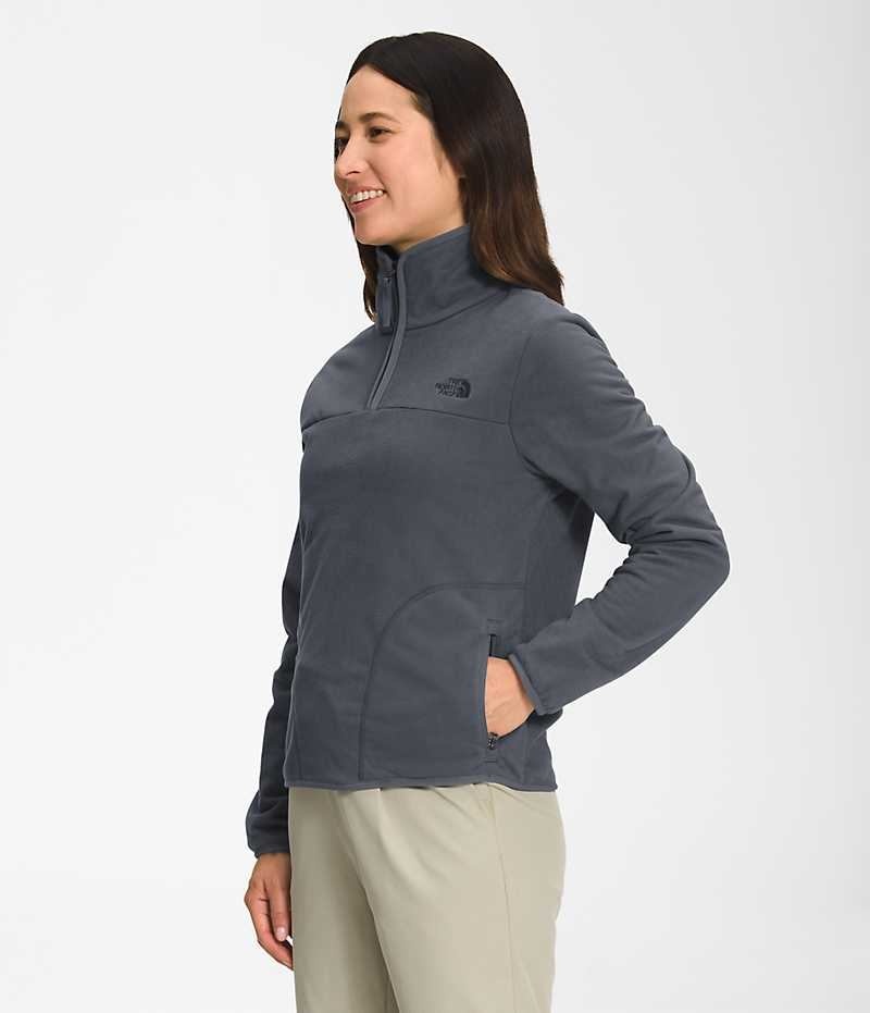 Sweatshirt The North Face Polar Osito ¼-Zip Femme Grise | FR DXFKW