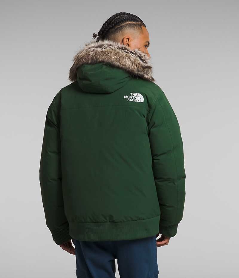 Veste Bomber The North Face McMurdo Homme Vert | FR RJLOQ