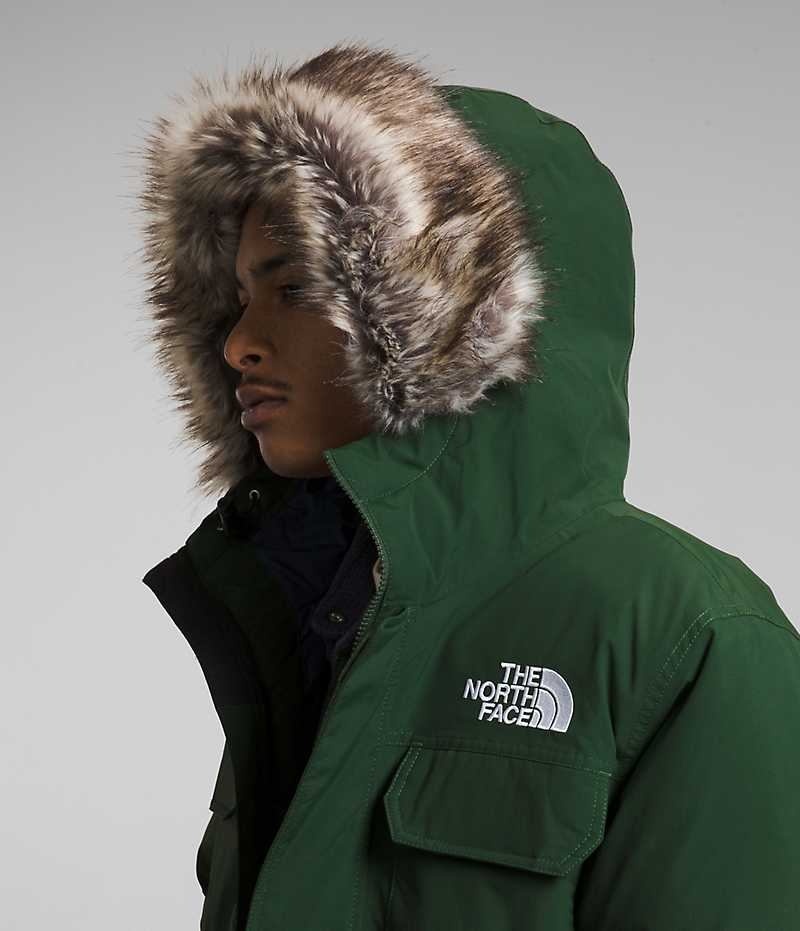 Veste Bomber The North Face McMurdo Homme Vert | FR RJLOQ