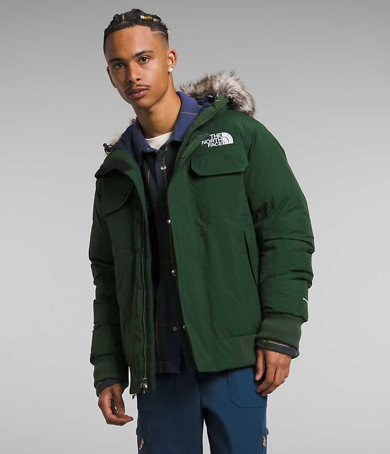 Veste Bomber The North Face McMurdo Homme Vert | FR RJLOQ