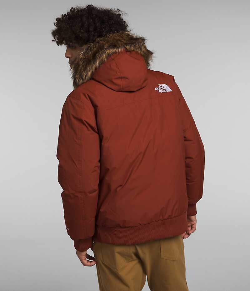 Veste Bomber The North Face McMurdo Homme Marron | FRANCE HVLJO