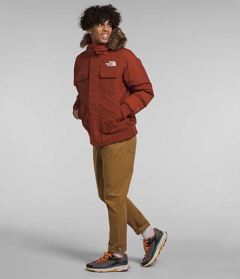 Veste Bomber The North Face McMurdo Homme Marron | FRANCE HVLJO