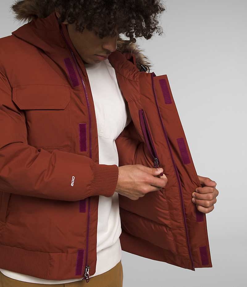 Veste Bomber The North Face McMurdo Homme Marron | FRANCE HVLJO