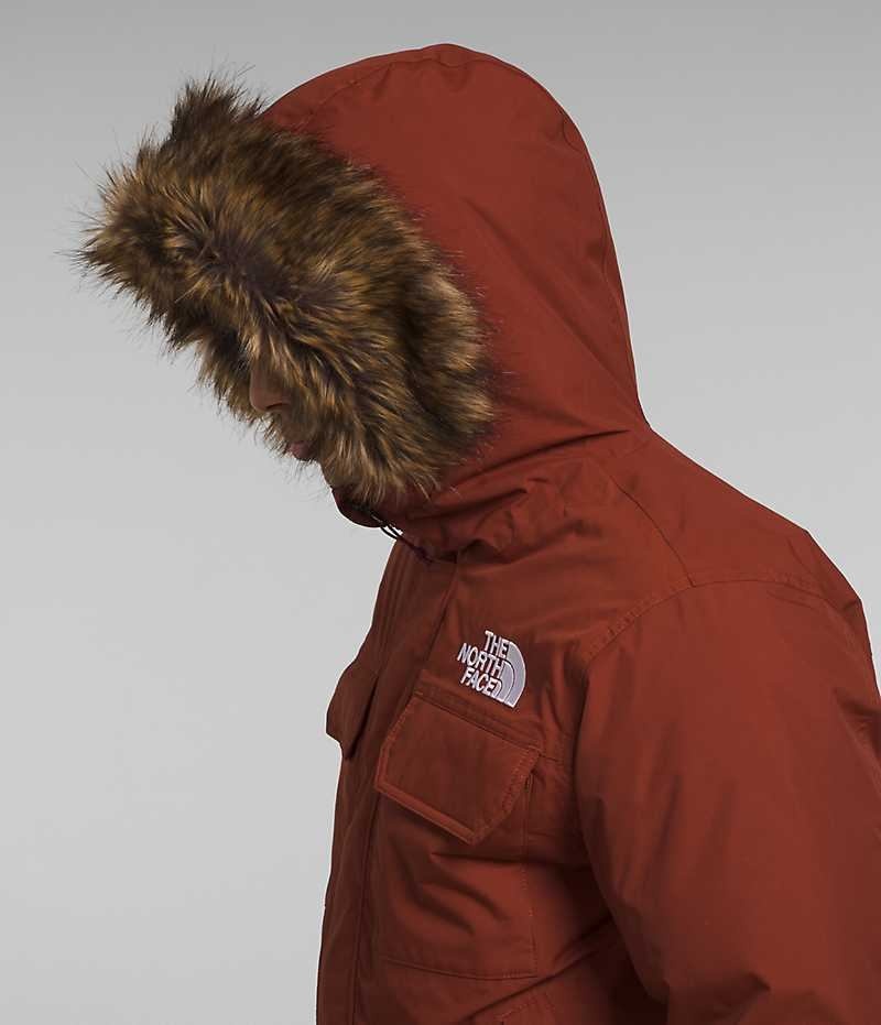Veste Bomber The North Face McMurdo Homme Marron | FRANCE HVLJO